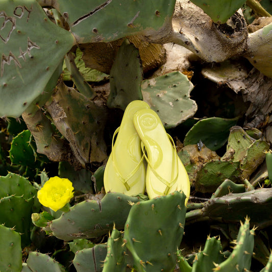 Indie Grapefruit Patent