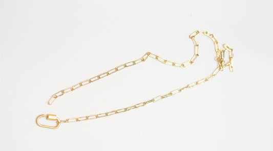 Designed For Joy - Carabiner Necklace: Small