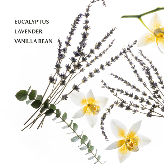 Touchland - Pure Lavender Power Mist Hydrating Hand Sanitizer