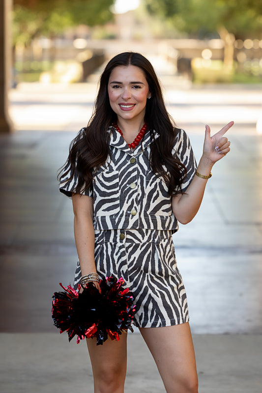 Jayne Zebra Set