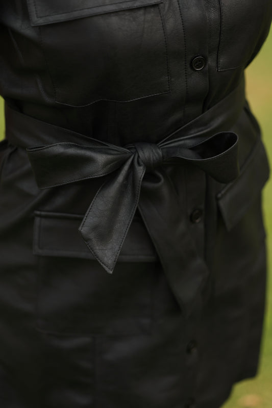 River Leather Dress