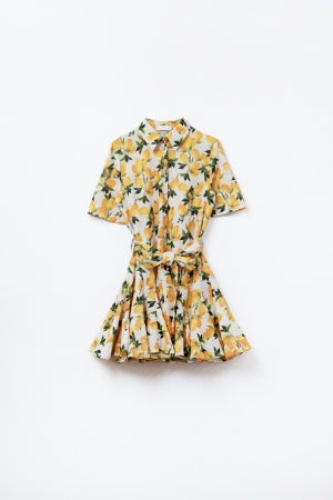Positano Dress