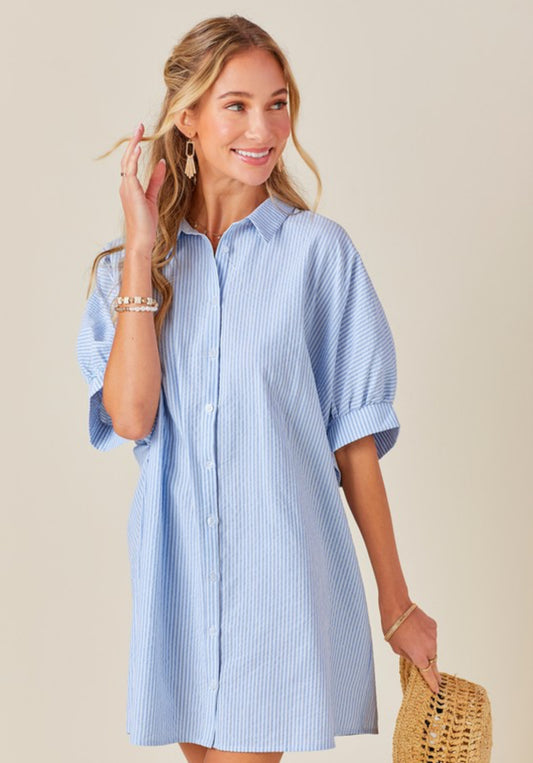 The New Haven Dress - Blue
