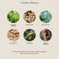 PRE ORDER Limited-Edition Woodland Balsam